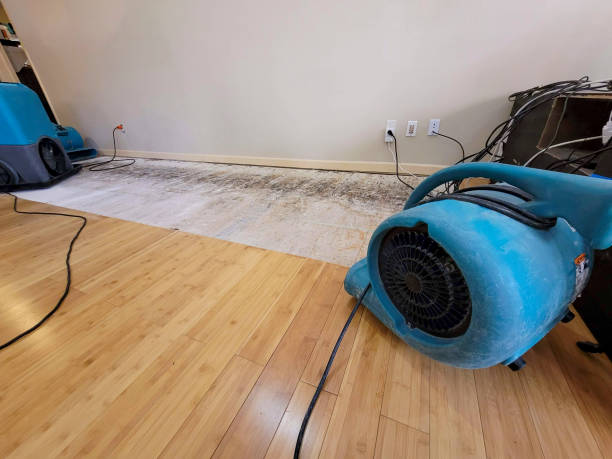 Professional Basement Flood Cleanup technician working in Lapeer, MI